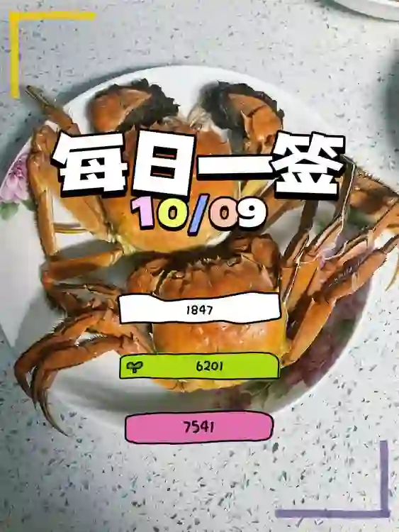 【每日一签】2025/10/09