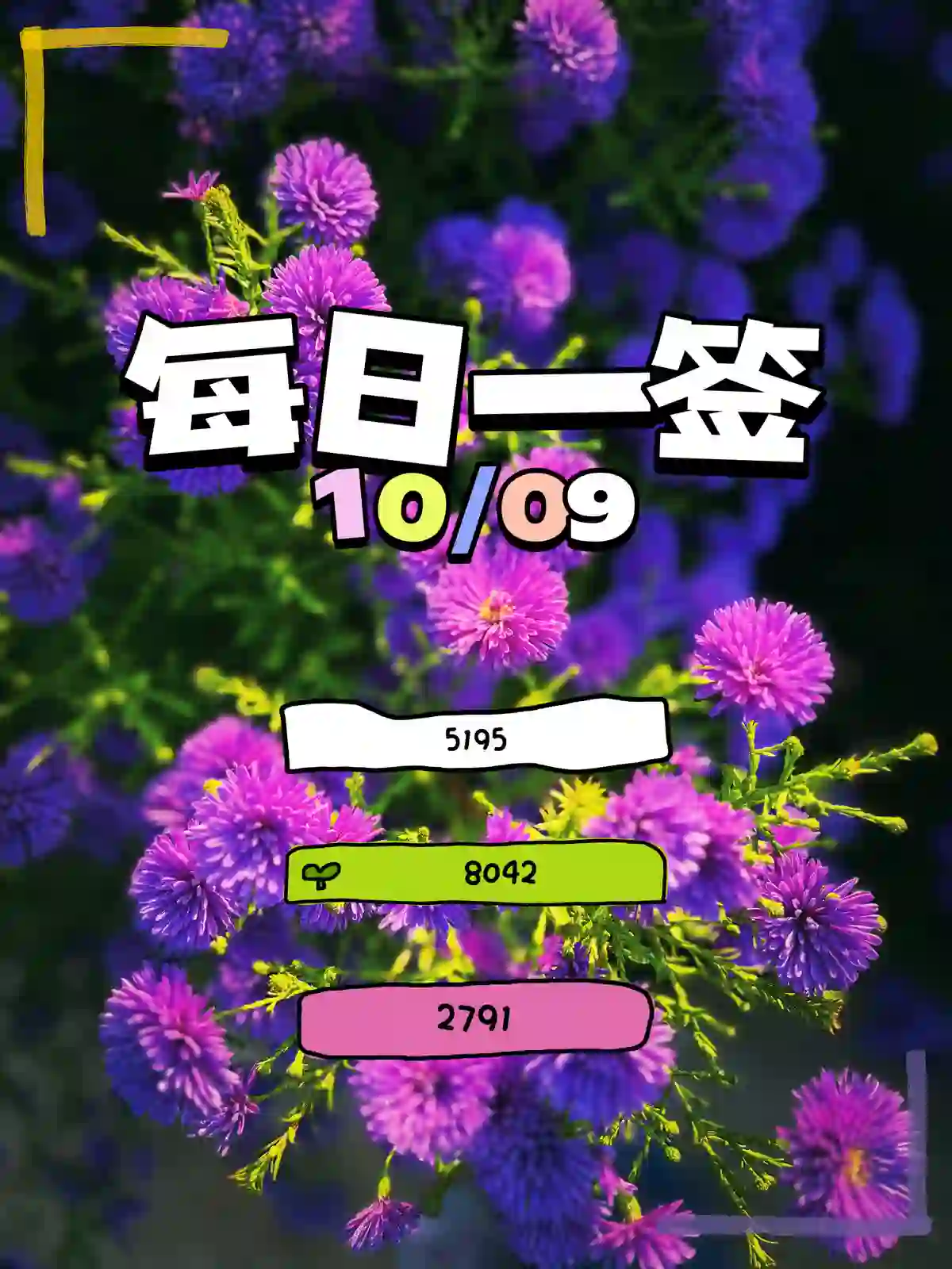 每日一签