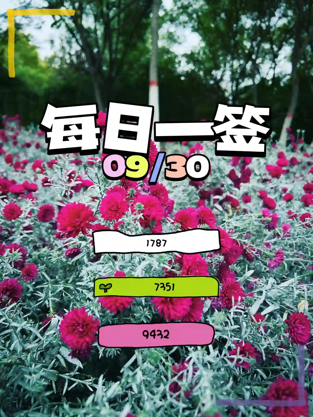 每日一签