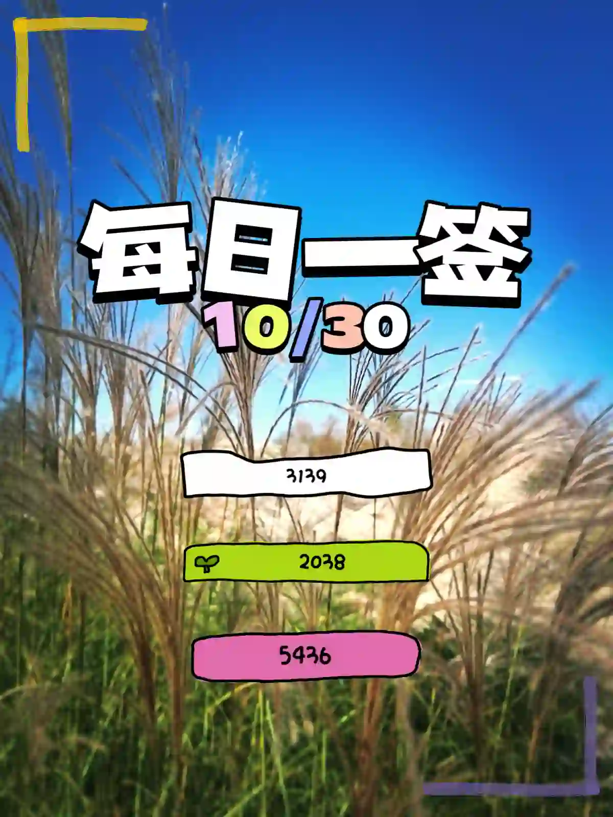 每日一签