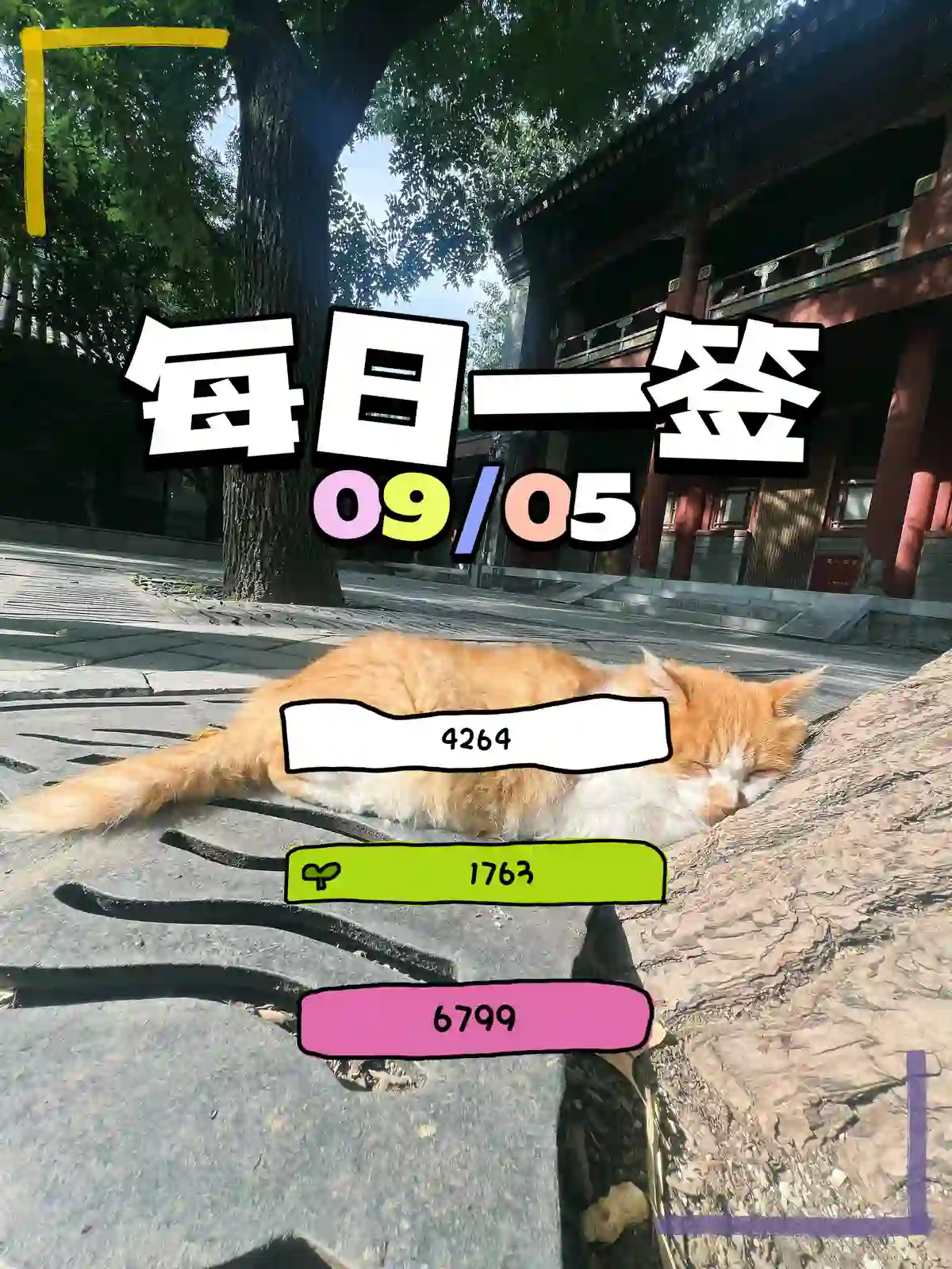 每日一签
